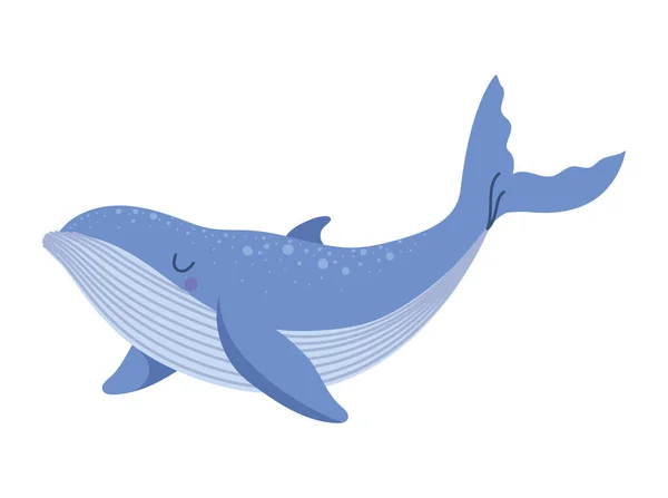 Nice blue whale — Stock Vector