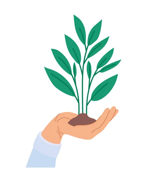 Plant on hand — Stock Vector