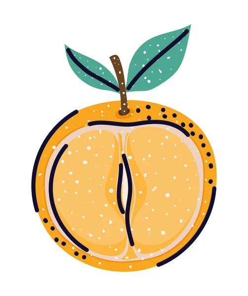 Design de fatias de tangerina —  Vetores de Stock