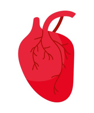 Güzel kalp tasarımı