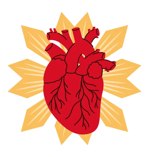 Realistic heart with sunburst — Stock Vector