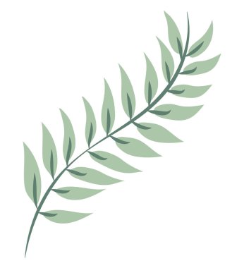 yeşil canavarlar dalı