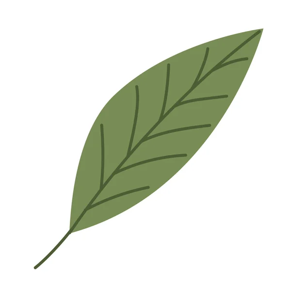 Ein grünes Blatt — Stockvektor