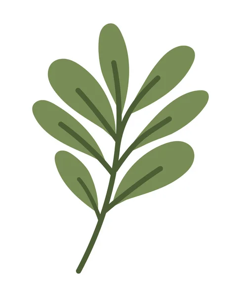 Rama de hojas verdes — Archivo Imágenes Vectoriales