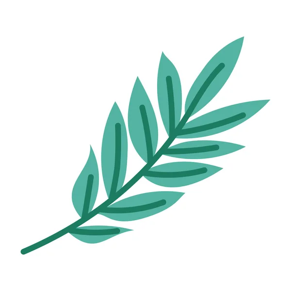 Belle branche de feuilles — Image vectorielle