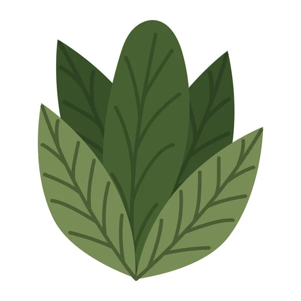 Design de folhas agradáveis — Vetor de Stock