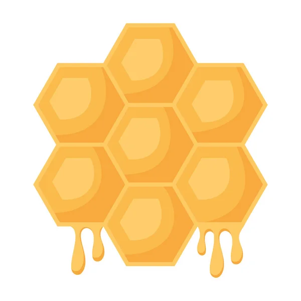 Panal de abeja diseño del panel — Vector de stock