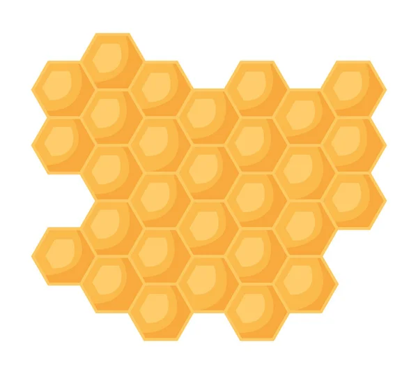 Méhsejt panel illusztráció — Stock Vector