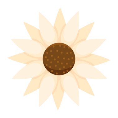 beyaz Daysi tasarımı