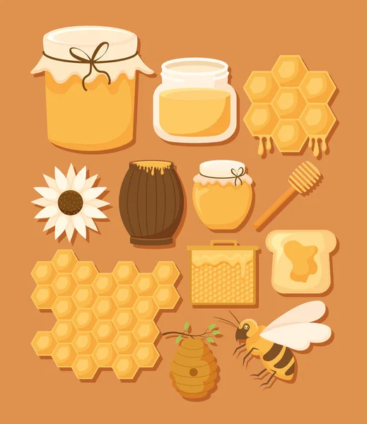 12個の蜂蜜のアイコン — ストックベクタ