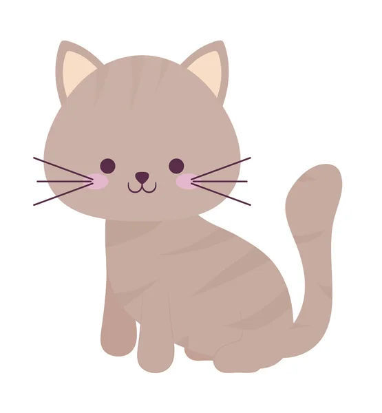 Aranyos barna macska — Stock Vector