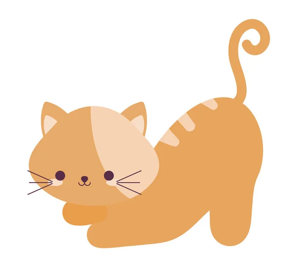 Pretty yellow cat — Vetor de Stock