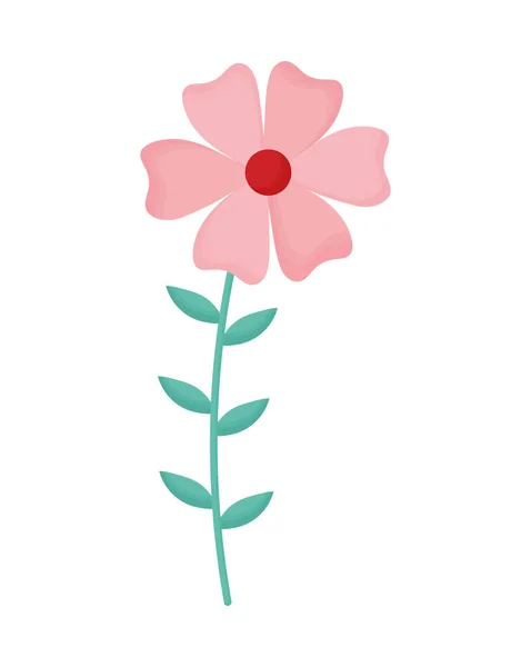 Söt blomma rosa — Stock vektor