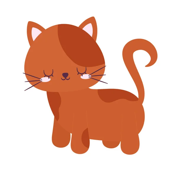 Χαριτωμένο γάτα πορτοκαλί — Διανυσματικό Αρχείο