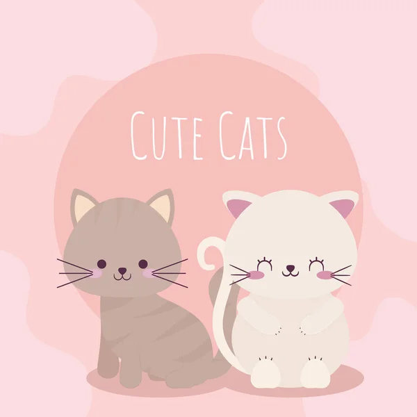 Affiche mignon chats — Image vectorielle