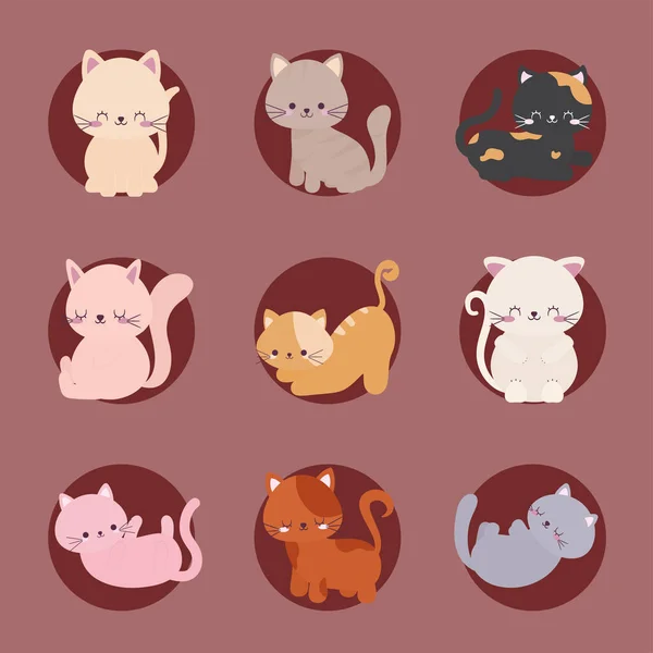 Девять милых котов — стоковый вектор