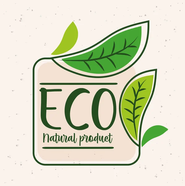 Eco label poster — Archivo Imágenes Vectoriales