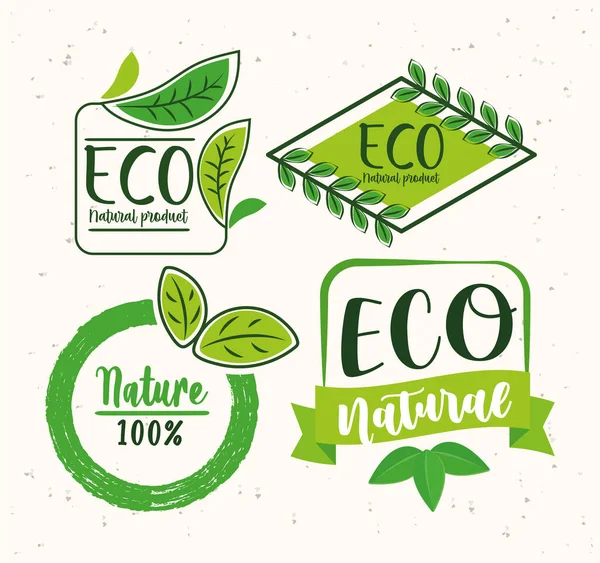 Four eco labels — Stock Vector
