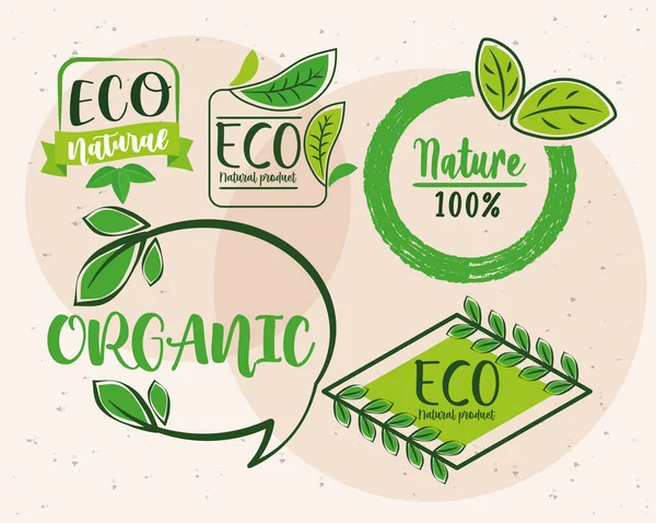 Five eco labels — Wektor stockowy