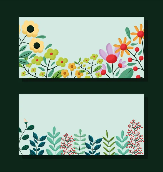 Bloemen frames ontwerp — Stockvector