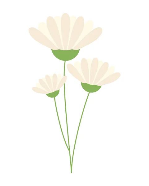 White flowers branch — Stock Vector