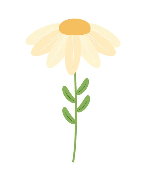 Witte bloem ontwerp — Stockvector