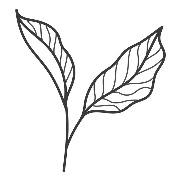 Schattig blad pictogram — Stockvector