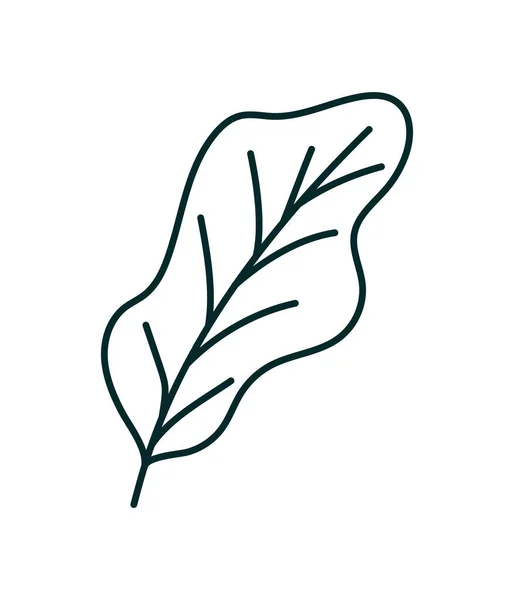 Icono de hoja vegetal — Vector de stock