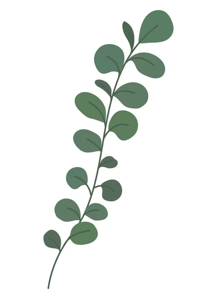 Green branch illustration — Stock Vector