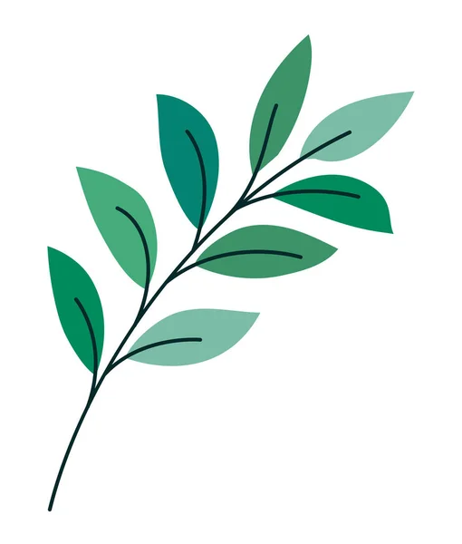 绿色的植物茎 — 图库矢量图片