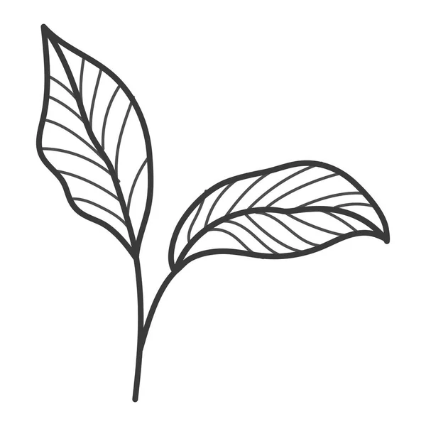 귀여운 나뭇잎 삽화 — 스톡 벡터