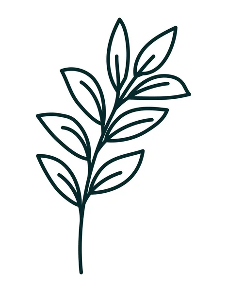Yaprakları simgesi tasarım — Stok Vektör