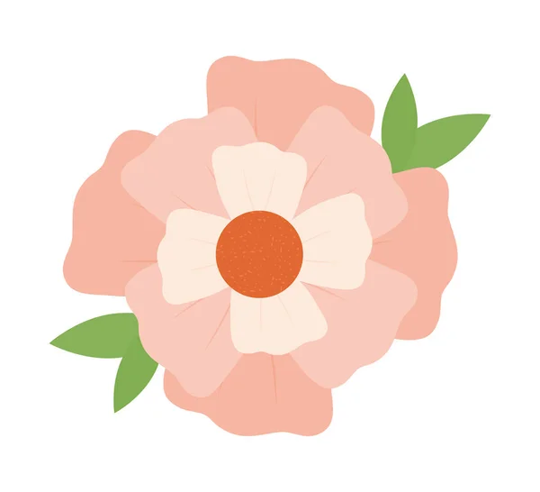 ピンクの花のデザイン — ストックベクタ