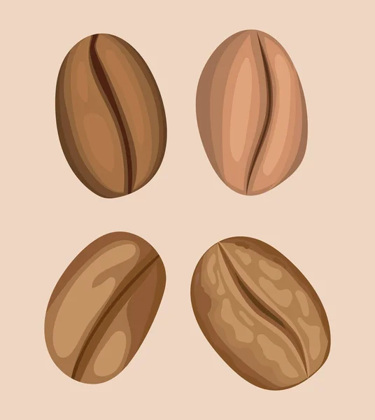 Four coffee beans — Stock Vector