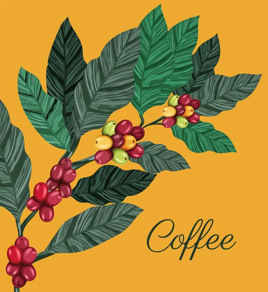 Kartel zakładu kawy — Wektor stockowy