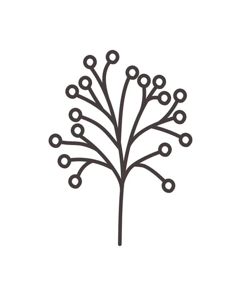 Conception de branche de baies — Image vectorielle
