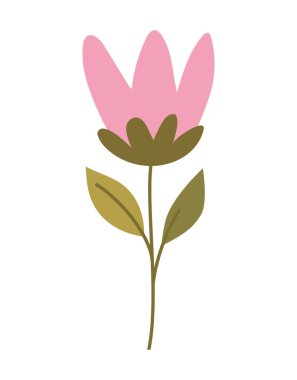 pembe çiçek tasarımı