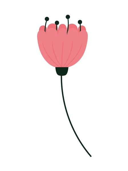 Иллюстрация розового цветка — стоковый вектор
