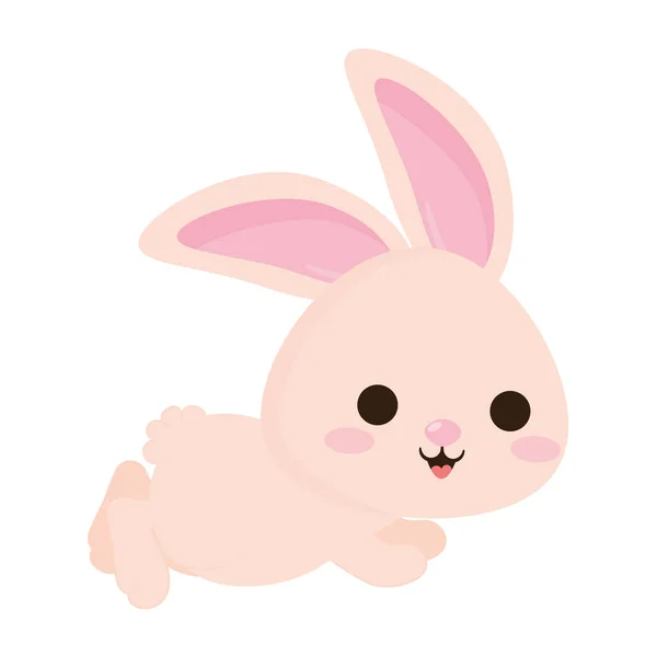 Vacker rosa kanin — Stock vektor