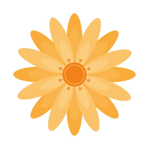 Golden flower design — Stock Vector