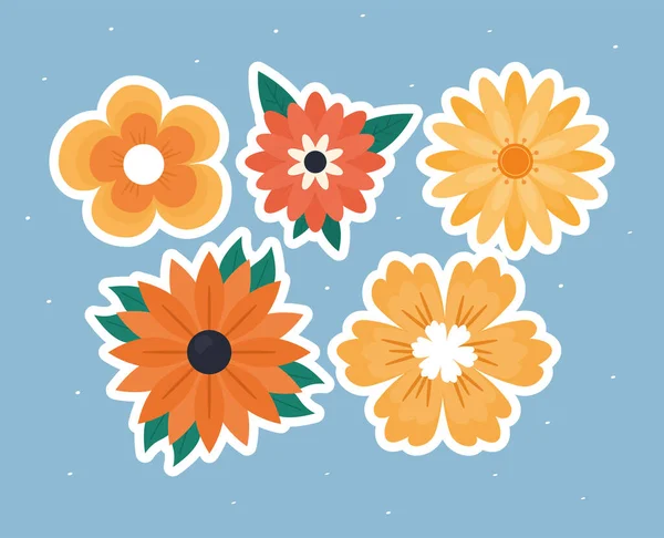 Beş renkli çiçek — Stok Vektör