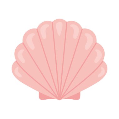 pembe midye tasarımı