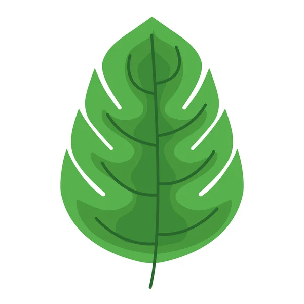 One leaf design — стоковый вектор