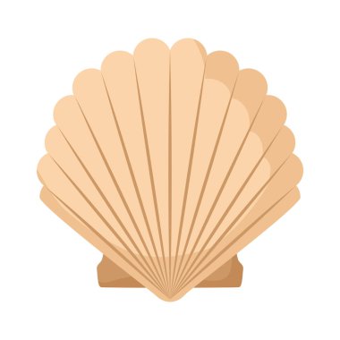 bej deniz tarağı tasarımı