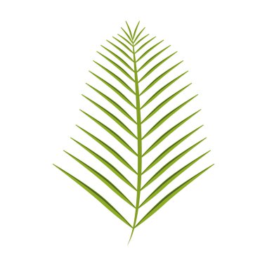 yeşil dal illüstrasyonu