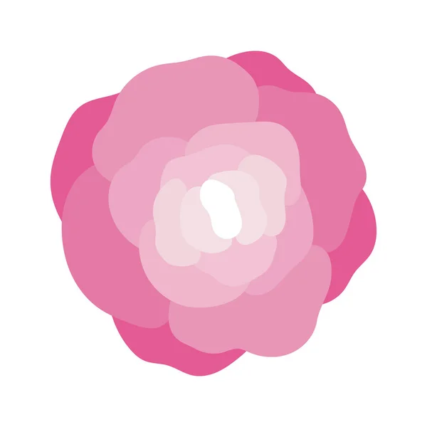 Квітка з рожевими пелюстками — стоковий вектор