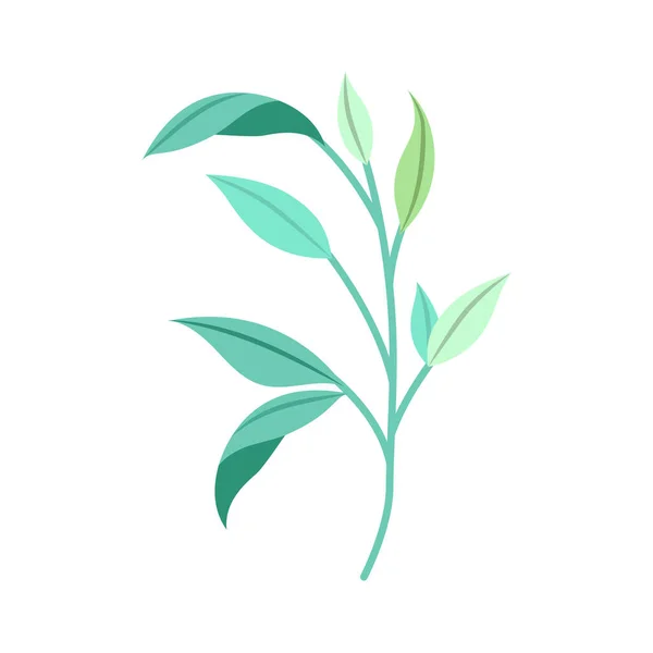 可爱的绿色茎 — 图库矢量图片