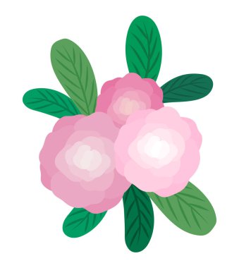 Pembe yapraklı küçük çiçekler