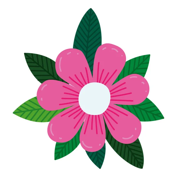 Rózsaszín virág design — Stock Vector