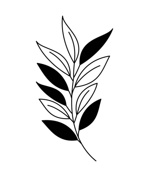 나뭇잎 디자인 — 스톡 벡터